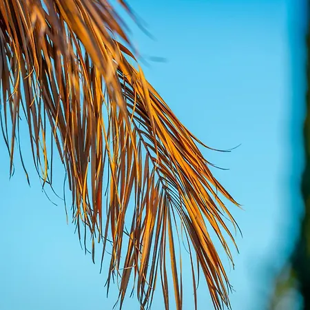 Hébergement de vacances Sun And Sky *